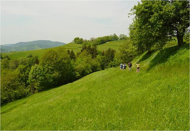 Slika7.jpg - Spusti bodo tudi. :)